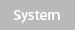 System